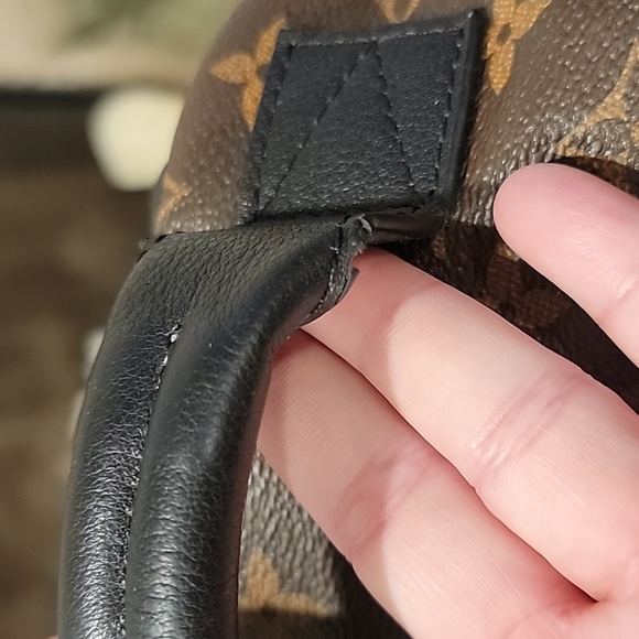 💯% Auth Louis Vuitton Palm Springs Backpack - PM - Picture 9 of 12